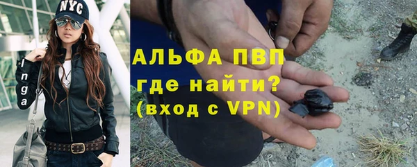 спиды Белокуриха